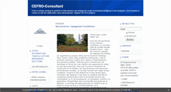 Desktop Screenshot of cefro.pro